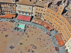 Campo Square Siena Private Tour from Rome