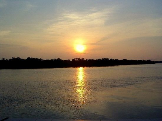 クアラセランゴール川 ホタル鑑賞ツアー　常夏の国でクリスマスツリー ＜夕食付き／日本語ガイド＞