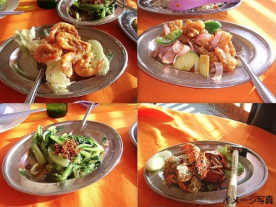 クアラセランゴール川 ホタル鑑賞ツアー　常夏の国でクリスマスツリー ＜夕食付き／日本語ガイド＞