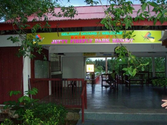 クアラセランゴール川 ホタル鑑賞ツアー　常夏の国でクリスマスツリー ＜夕食付き／日本語ガイド＞