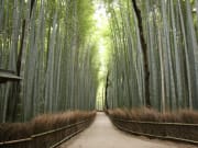 arashiyama_