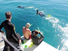 1 DUCK BOARD SNORKEL