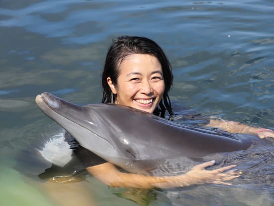 可愛いイルカと一緒に泳いで 遊んで 触れ合える 感動のドルフィンスイム たっぷり45分間 ホテル往復送迎付 バリ島の観光 オプショナルツアー専門 Veltra ベルトラ