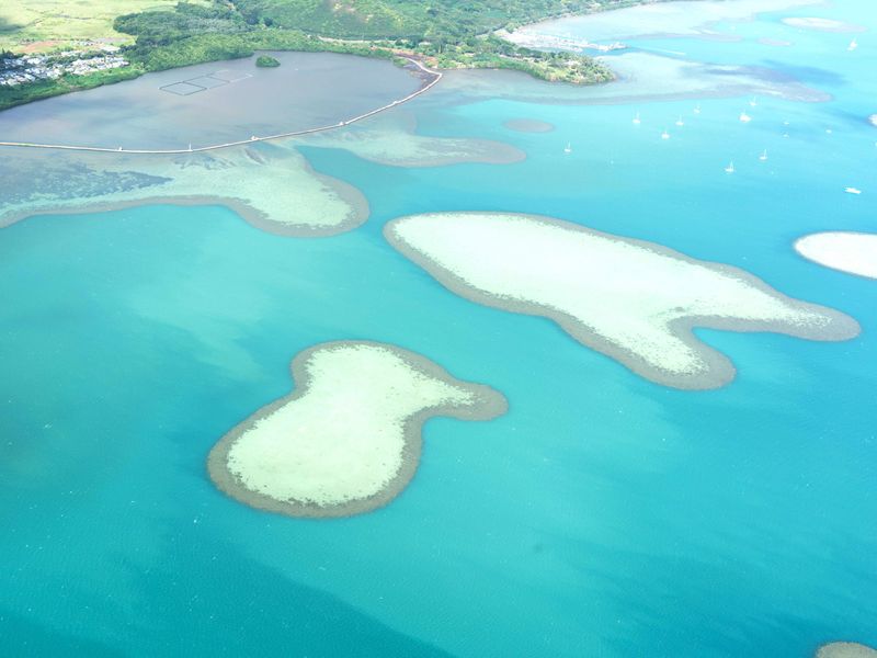 Kaneohe Bay Sandbar (Top Oahu Attractions & Sights), Oahu tours