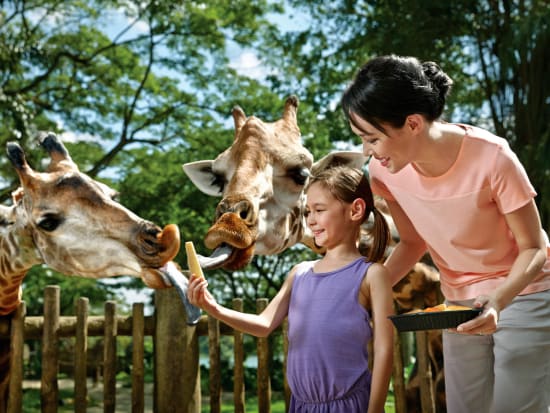 Singapore Zoo, animal interaction. kids