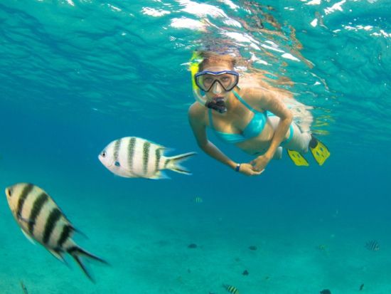 ウミガメシュノーケリング　ハウェア号　安定感抜群のカタマラン船で人気スポット、タートルキャニオンへ！ドリンク&スナック付き＜2.5時間／英語／ワイキキビーチ発＞