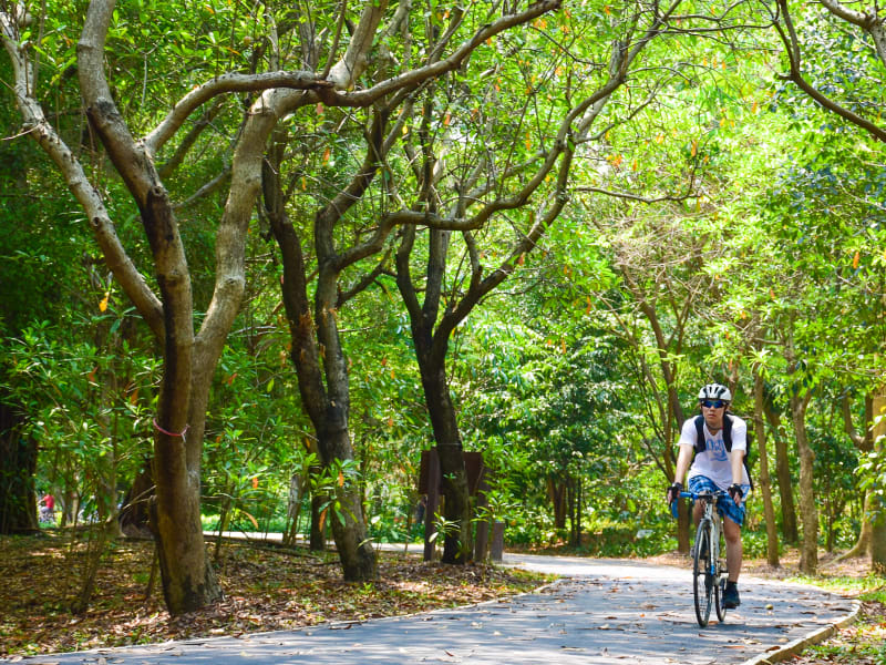 Cycling in Bangkok Jungle Bike tour