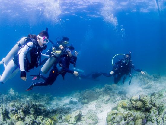 PADI オープンウォーター／アドバンス ダイビングライセンス取得コース e-ラーニングで時短！＜混載／2日間＞by エメラルドグリーンダイビングセンター