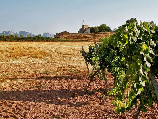 モンセラット＆マンレサ地区 1日観光ツアー　古城ワイナリーで楽しむオーガニックワイン ＜昼食＆試飲付き／英語ガイド／バルセロナ発＞