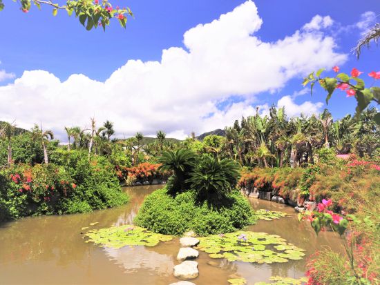 【ベストプライス】西表・由布島めぐり日帰りツアー　マングローブ遊覧＋水牛車＋由布島たっぷり90分＜石垣島発着／半日／昼食／送迎＞