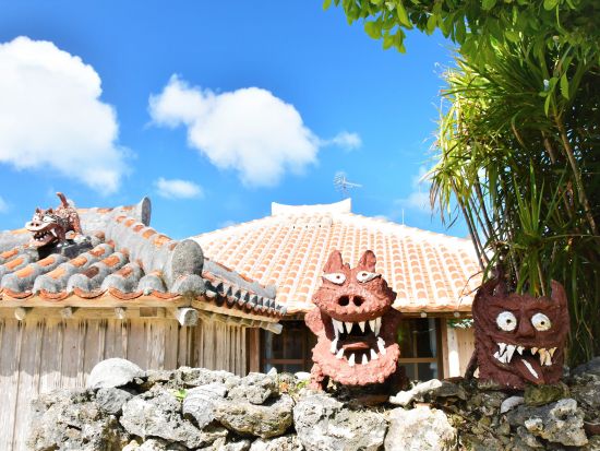 【ベストプライス】西表・由布・竹富島 日帰りツアー　マングローブ遊覧＋水牛車＋選べる竹富島での過ごし方（レンタサイクル他）＜石垣島発着／1日／昼食付＞