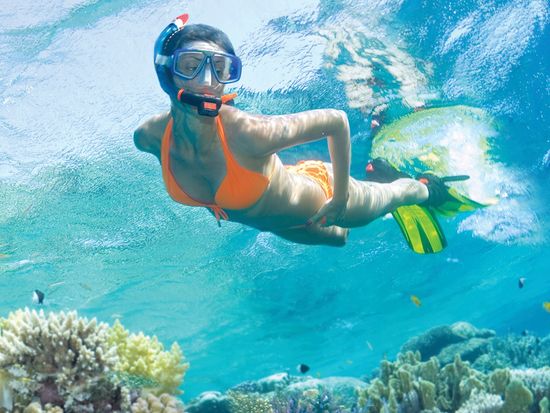 glass bottom boat experience full day fitzroy island tour with snorkeling and glass glass bottom boat experience full day fitzroy island tour with snorkeling and glass