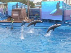 Ocean_Theatre_2
