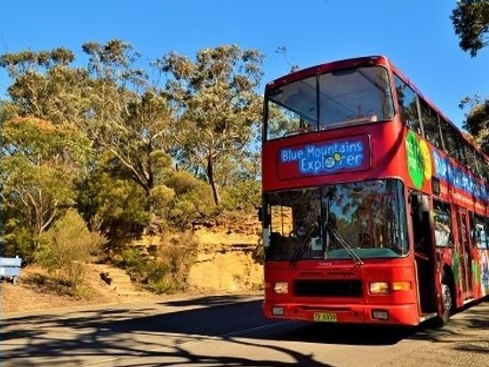 ブルーマウンテン ツアー シドニー 旅行の観光 オプショナルツアー予約 Veltra ベルトラ ブルーマウンテン ツアー シドニー 旅行の観光 オプショナルツアー予約 Veltra ベルトラ