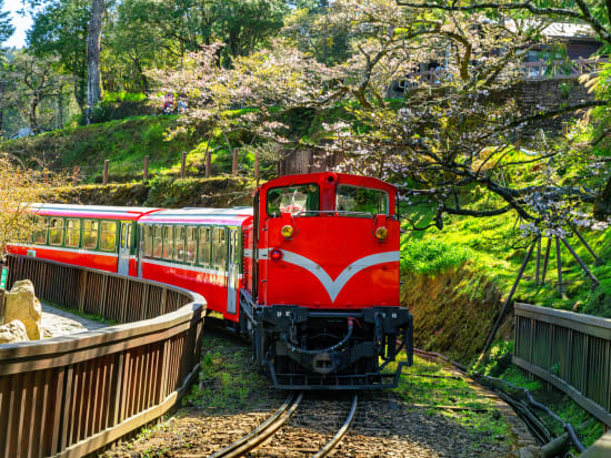 red train alishan forest railway experience taiwan