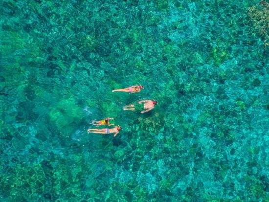 ハワイ島 ケアラケクア湾シュノーケリングツアー　滑り台や飛び込み台完備の船で行く！＜午前・午後／英語ガイド／食事付＞by フェアウィンド号