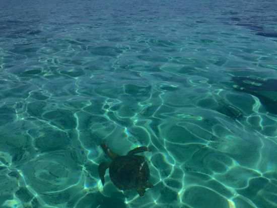 SUP体験 公認インストラクターがご案内！120分、150分、180分のコースから選択可能 ＜笠利町＞by KAZBO Surf and SUP