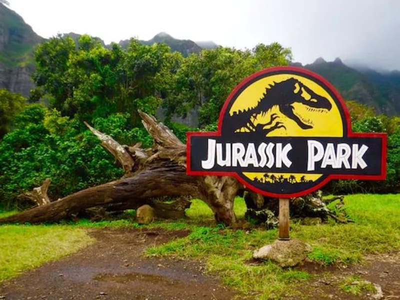 Jurassic Adventure Tour  Kualoa Ranch Jurassic Park Hawaii Tour