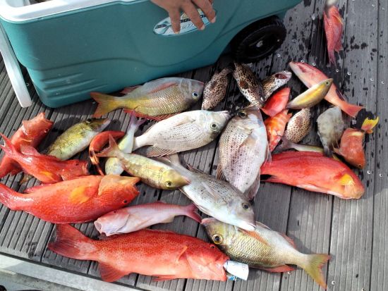 船釣りツアー　釣具一式レンタル付きで大人も子どもも気軽に船釣り体験！＜3時間／夕食付プランあり／博愛漁港or平良港＞