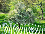 USA_Washington-DC_Arlington-National-Cemetery_123RF_19452494_ML
