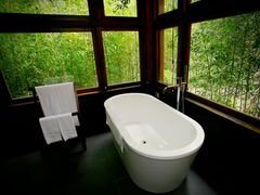 お茶の香るお風呂で元気を回復