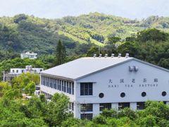 大渓の歴史ある製茶工場を訪れる