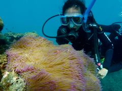 Intro Dive 5