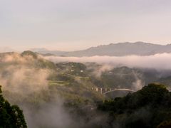 shutterstock_1084214282