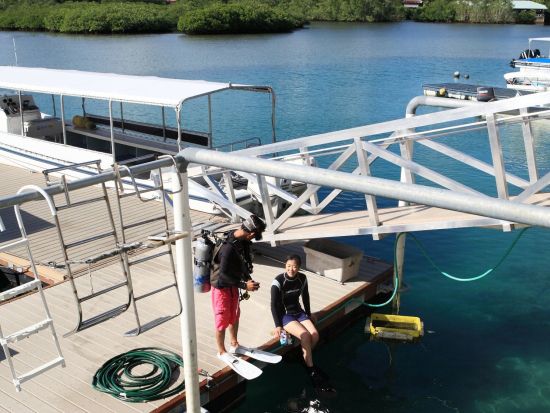 夕方からのファンダイビング 自由自在に潜れるバディ潜水もOK！＜ビーチ／1ダイブ＞by パラオ・パシフイックダイバーズ