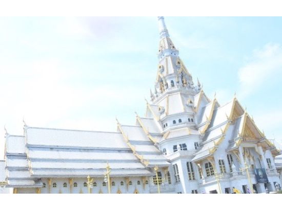 【貸切】バンコクフォトジェニック半日観光ツアー ピンクのガネーシャ＋ワットソートン＋バンパコン川の遊覧＜午前・午後／日本語／往復送迎／空港送迎可＞