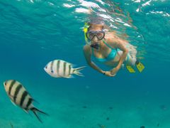 USA_Hawaii_Molokini-Snorkel_shutterstock_699388009