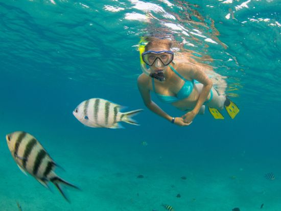 ビーチシュノーケリング　波が穏やかな浅瀬のマジックアイランドのラグーンで初心者やお子様でも安心！英語ガイドのサポート付き　写真＆動画無料＜1時間／アラモアナ＞