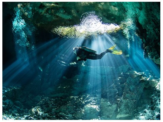 絶景セノーテでファンダイビング！選べる行先 ドス・オホスorチャックモール＆ククルカン＜貸切／昼食／日本人インストラクター／2ダイブ／カンクン発＞