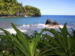 Hamakua.01
