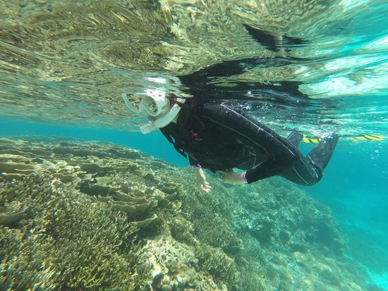 サンコ_シュノーケル