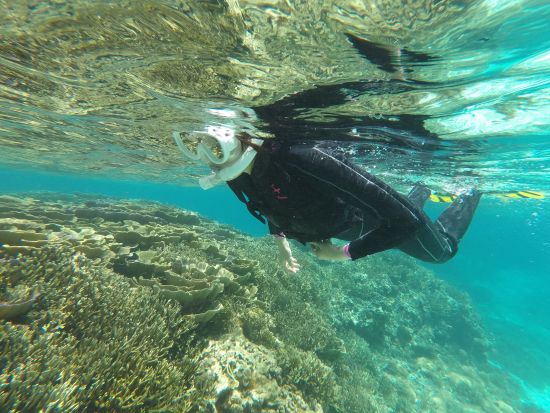 はじめての海遊び！お魚さがしのぷかぷかシュノーケル 2歳～75歳まで参加OK！市街地にあるパウダールームなど設備充実の店舗集合でらくらく参加＜写真付き／宮古島＞