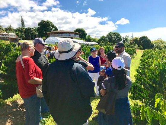 マウナケア山麓 星空観測ツアー　ローカルのコーヒー農園見学と太陽観察もあり＜夕食付／英語ガイド／コナまたはワイコロア地区発＞