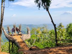jomblang_cave-18-hutan_pinus-pengger2