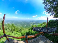 jomblang_cave-16-hutan_pinus-becici11