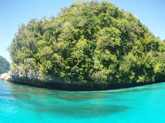 サンセットカヤックツアー　マングローブの豊かな森とロックアイランドを半日でめぐる＜送迎付き＞by パラオ・パシフイックダイバーズ