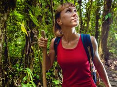 USA_Hawaii_Rainforest_Hike_shutterstock_651622948