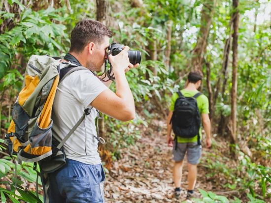 オアフ島　タンタラスの丘 緑豊かな熱帯雨林と火山の噴石丘陵をハイキング　中級～上級者向け＜英語ガイド＞
