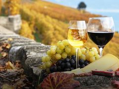 wine soto