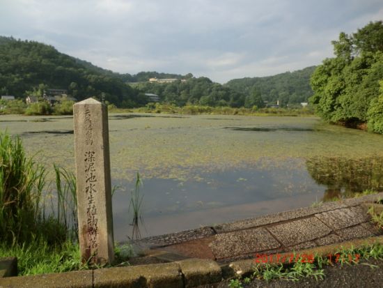 貸切観光タクシー 京都の妖怪スポットをめぐるミステリースポットツアー＜4時間／1-6名／京都市＞by 興進タクシー