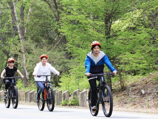 富士山麓フィトンチッドツアー・ショートコース　MTBで森の中を駆ける！＜富士河口湖町＞