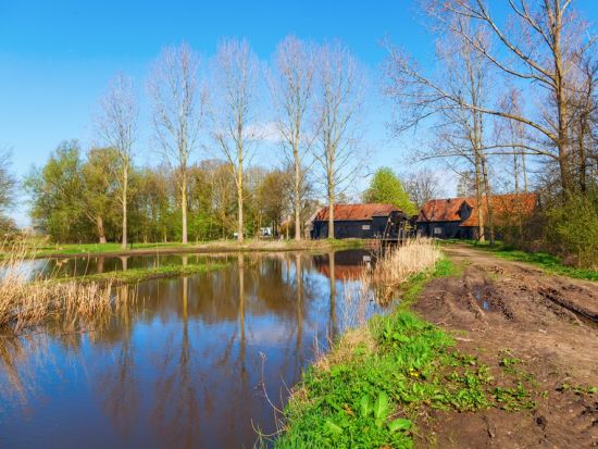 ゴッホの町ヌエネン観光ツアー　 ゴッホの作品風景を巡る ＜日本語ガイド貸切／公共交通機関利用／アムステルダム発＞