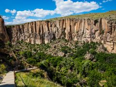 shutterstock_1015631539