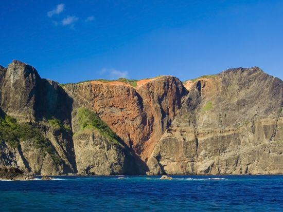 ハートロック（千尋岩）トレッキングツアー　亜熱帯の森やガジュマルの森をベテランガイドがご案内＜1日／送迎付き／小笠原諸島・父島発＞by ボニンブルーシマ