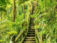 Highres-0010_edited