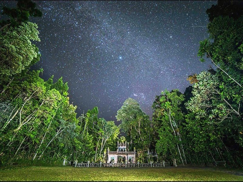 昼と夜のパロネラパーク マムースカイウォーク ジョセフィン滝 星空鑑賞 野生のワラビー探索ツアー 英語ガイド 午後発 ケアンズの観光 オプショナルツアー専門 Veltra ベルトラ